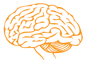 brainNeurology (60K)