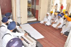 Bhog 7 (14K)