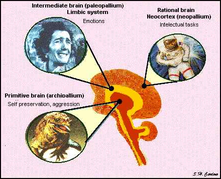 ReptilianBrain (330K)