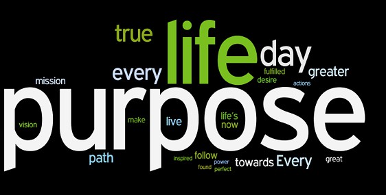 purpose wordle (34K)