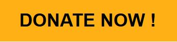 DonateNow (12K)