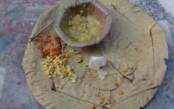 EcoSikh Calls for Eco-Friendly Nagar Kirtans