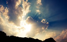 Connecting with Creation