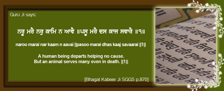 fc-Green_Zone-Guru-Ji-says-Bhagat-Kabeer- (50K)