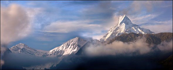 himalaya (24K)
