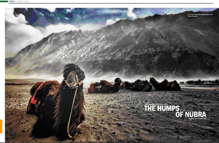 TheHumps (136K)