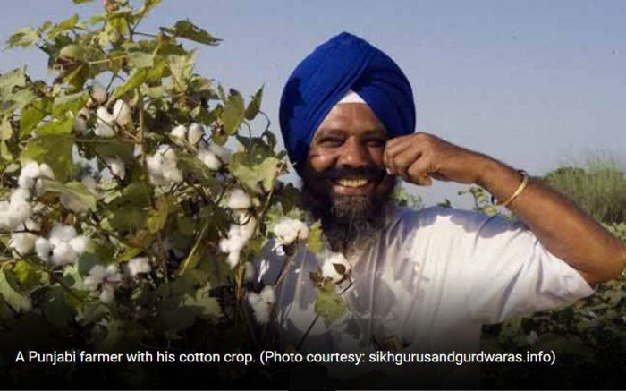 PunjabiFarmer (73K)