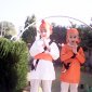 jivitesh singh's picture